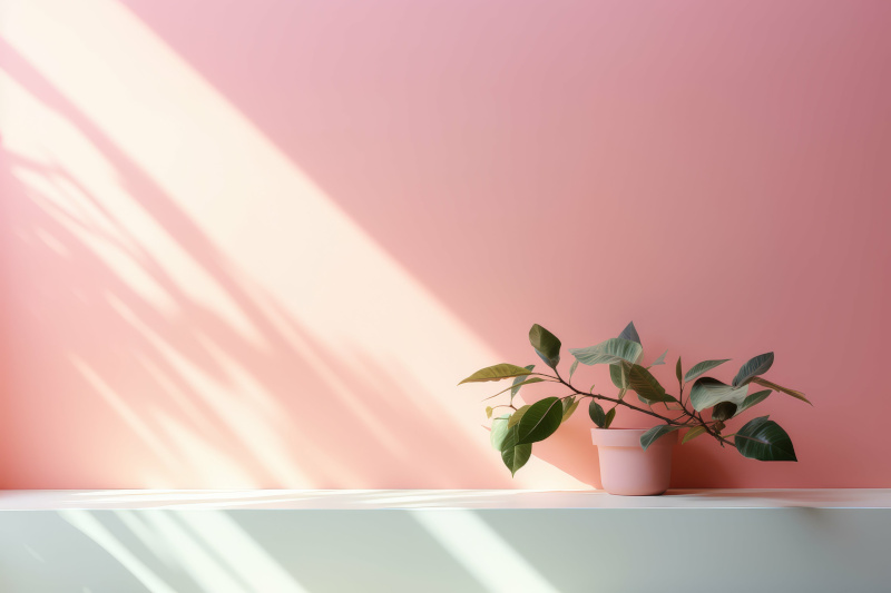 Topfpflanze vor pinker Wand