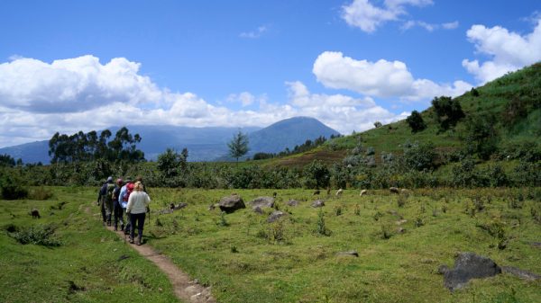 Trekking in Ruanda